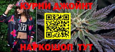 мдпв Будённовск