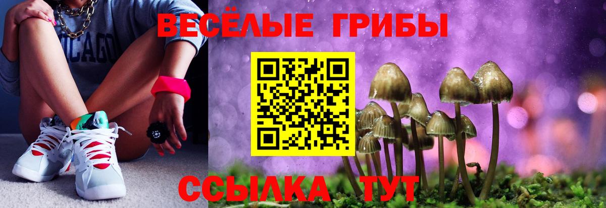 Чусовой  Галлюциногенные грибы Psilocybine cubensis  Вход с VPN  Галлюциногенные грибы ЛСД 